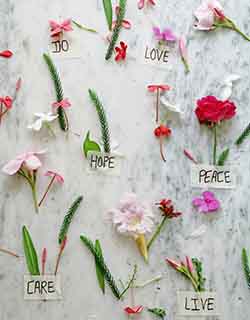 Positive reminders - hope, peace, love etc with flowers